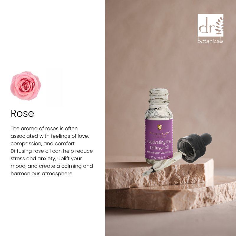Captivating Rose Diffuser Oil 10ml Twin Value Savings Pack