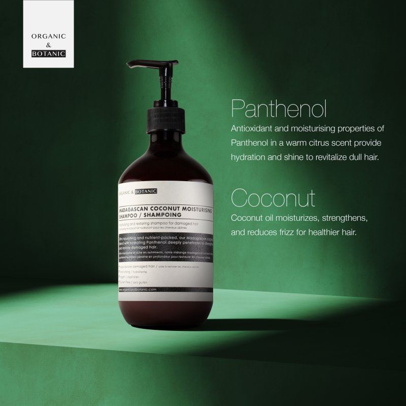 Hochwertiges Feuchtigkeitsshampoo mit madagassischer Kokosnuss, 500 ml