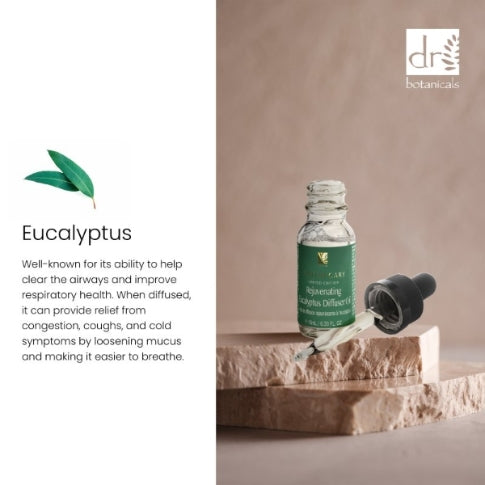 Rejuvenating Eucalyptus Diffuser Kit